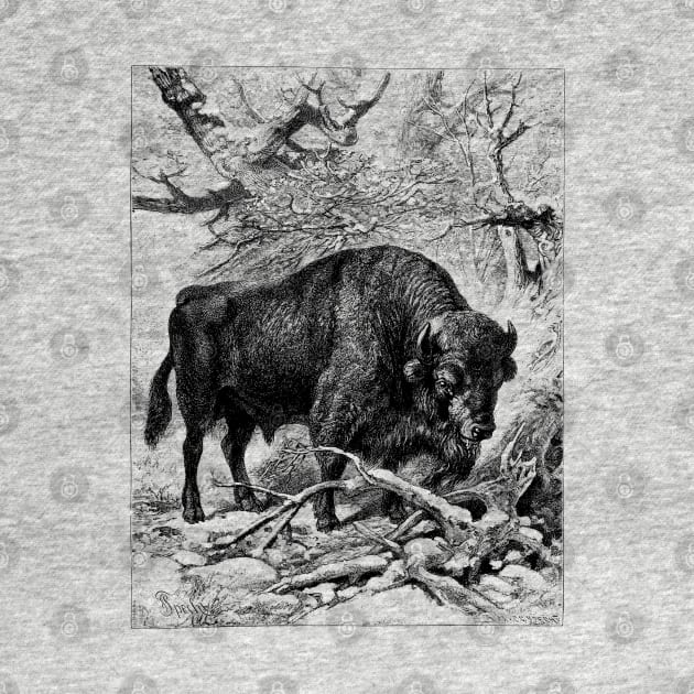 Bison Wildlife Illustration by Biophilia